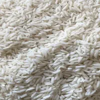 برنج هاشمی خوشپخت|خوردنی و آشامیدنی|ری, حمزه‌آباد|دیوار