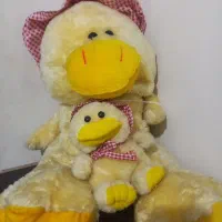 فقط وفقط جفتش باهم با برنج