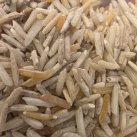 برنج خوراک دام کفتر مرغ خروس
