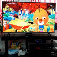 تلویزیون ال ای دی الجی ۵۵فورکی هوشمند دوگیرندفول|تلویزیون و پروژکتور|یاسوج, |دیوار