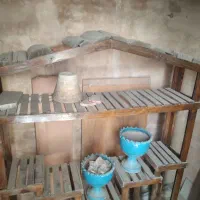 استند گل و گیاه