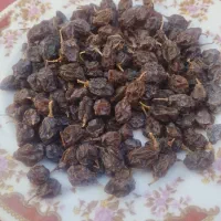 مویز|خوردنی و آشامیدنی|کرمان, |دیوار