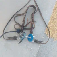 دهنه اسب تمام چرم|اسب و تجهیزات اسب‌سواری|کرمان, |دیوار