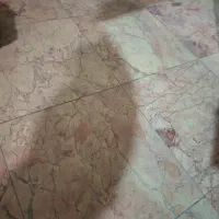 منزل مسکونی