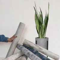 با کاغذ دیواری کاغذدیواری رولی ۱۰۰متری ۲۰ عیدانه