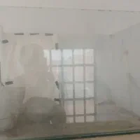 آکواریوم|ماهی|زابل, |دیوار