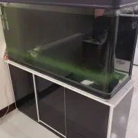 آکواریوم دلسا مدل K1000