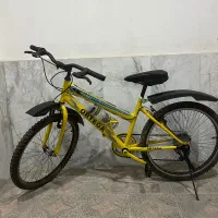 دوچرخه دنده ای ۲۴