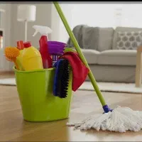 انجام کلیه نظافت و خدمات منزل