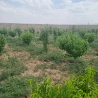 فروش باغ ویلا  ۵۰۰ متری