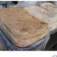شاطر