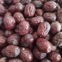 عناب|خوردنی و آشامیدنی|سرایان, |دیوار