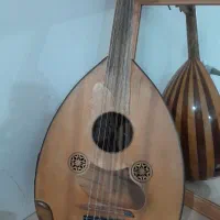 عود ترکی
