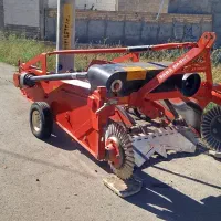 سیب کن سبز دشت1403