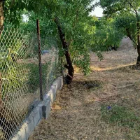 فروش زمین ۸۰۰ متری در شهرکرد شوراب صغیر