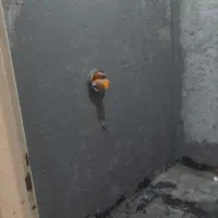 لوله کشی اب و فاضلاب و تعمیرات لوازم|خدمات پیشه و مهارت|اصفهان, خرم|دیوار