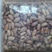 پخش حبوبات لوبیا نخود عدس لپه لوبیا چیتی|خوردنی و آشامیدنی|قم, گلزار|دیوار