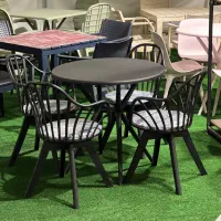 میز و صندلی پلاستیکی|میز و صندلی غذاخوری|بندر انزلی, گیلار|دیوار