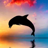 تور قشم ۳ شب و‌ ۴ روز