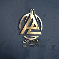 استخدام مشاور مبتدی و حرفه ایی