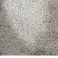 برنج طارم هاشمی