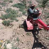 خدمات درست کردن استخرویلاشخم باتیلرسم پاشی باغبانی|خدمات باغبانی و درختکاری|اراک, |دیوار