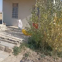 زمین کشاورزی مناسب برای پروژه های گلخانه ودامداری|فروش دفتر صنعتی، کشاورزی، تجاری|همدان, |دیوار