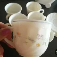 فنجان نعلبکی آرکوپال فرانسوی ۱۰ پارچه