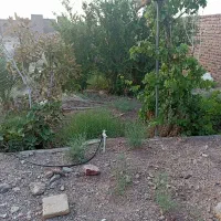 فروش-زمین-کشاورزی-با-قیمتی-فوق-العاده