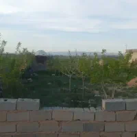 جاده-سیمان-کشمیری-19زمین-فروشی-باغ-ویلا