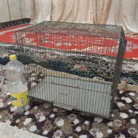 قفس پرنده|لوازم جانبی حیوانات|خرمشهر, |دیوار