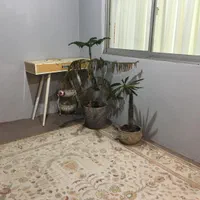 اجاره سویت دربست در شهر،|اجارهٔ کوتاه‌مدت آپارتمان و سوئیت|بندر انزلی, آخرخط|دیوار