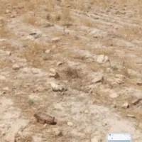 سلام-زمین-دره-لبک