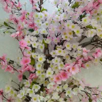 استخدام نیرو سالن زیبایی تمام‌وقت