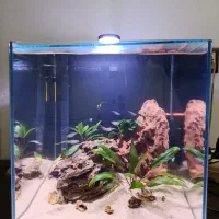 آکواریوم رومیزی برند apa