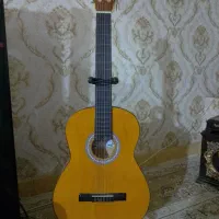 گیتار سفارشی  با پایه ی فلزی|گیتار، بیس، امپلیفایر|ایوان, |دیوار