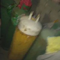 کپسول گاز 50کیلویی