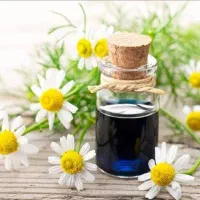 کار در منزل مختص بانوان