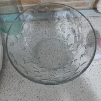 میوه خوری مرغ خوری