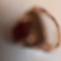 انگشتر طلا عقیق نگین قرمز گم شده