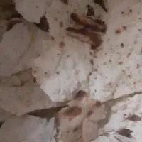 مناسب برای حیوانان نان خشک تمیزبدون کپک