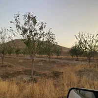 2قطعه زمین خونه باغ در کوسه|فروش زمین و ملک کلنگی|بوکان, |دیوار