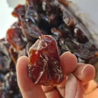 خرما کبکاب امساله بوشهری