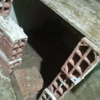 مرغ محلی|حیوانات مزرعه|آزادشهر, |دیوار