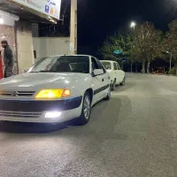 زانتیا سفید