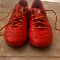استوک ریز