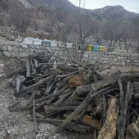 خرید و فروش ذغال و چوب