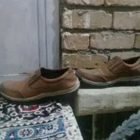 کفش|کیف، کفش، کمربند|دورود, |دیوار