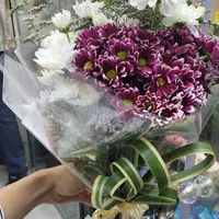 داوودی بسته ای ۱۰۰ تومن|گل و گیاه طبیعی|شیراز, خلدبرین|دیوار
