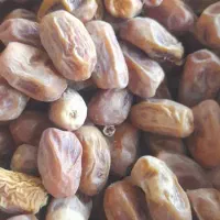 قصب درجه یک عالی